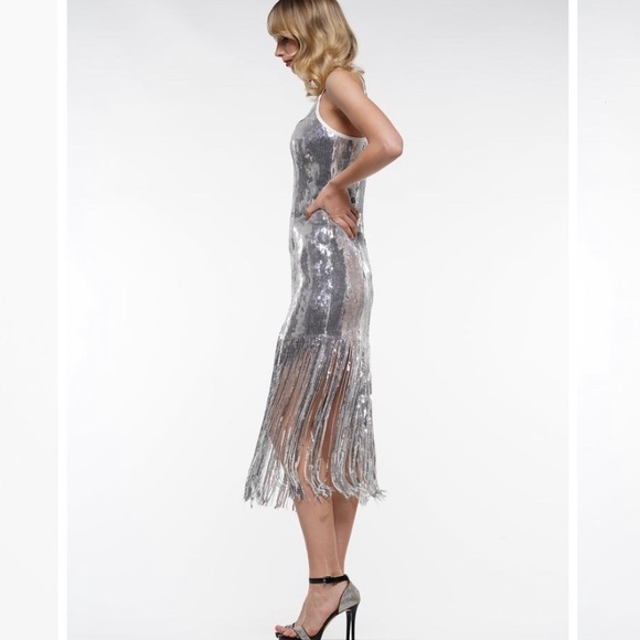 SEQUIN FRINGE DRESS - Picture 2 of 5